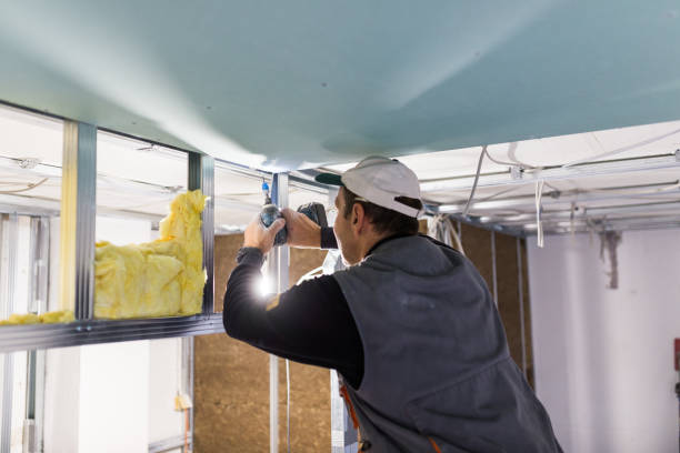 Best Cellulose Insulation in Granger, IN
