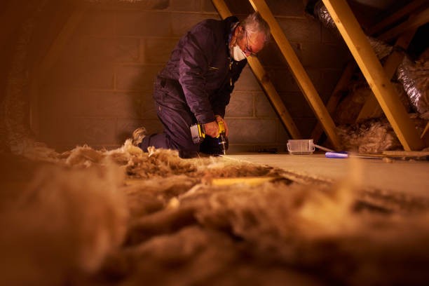 Best Geographic-Specific Insulation Services in Granger, IN